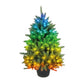 3' Spectrum Digital Remote Control Foxtail Potted Tree