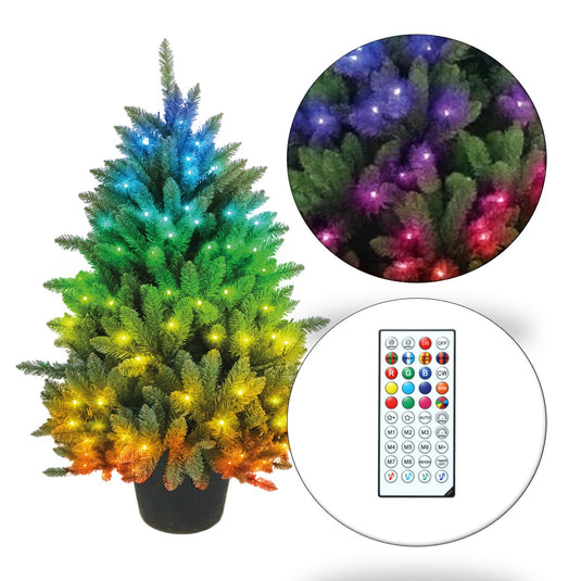 3' Spectrum Digital Remote Control Foxtail Potted Tree