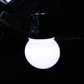20 White Traditional Festoon Lights with Black Cable