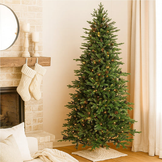7' Buckingham Pine