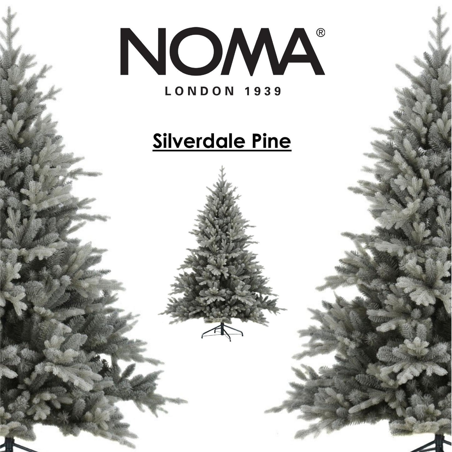 Silverdale Pine