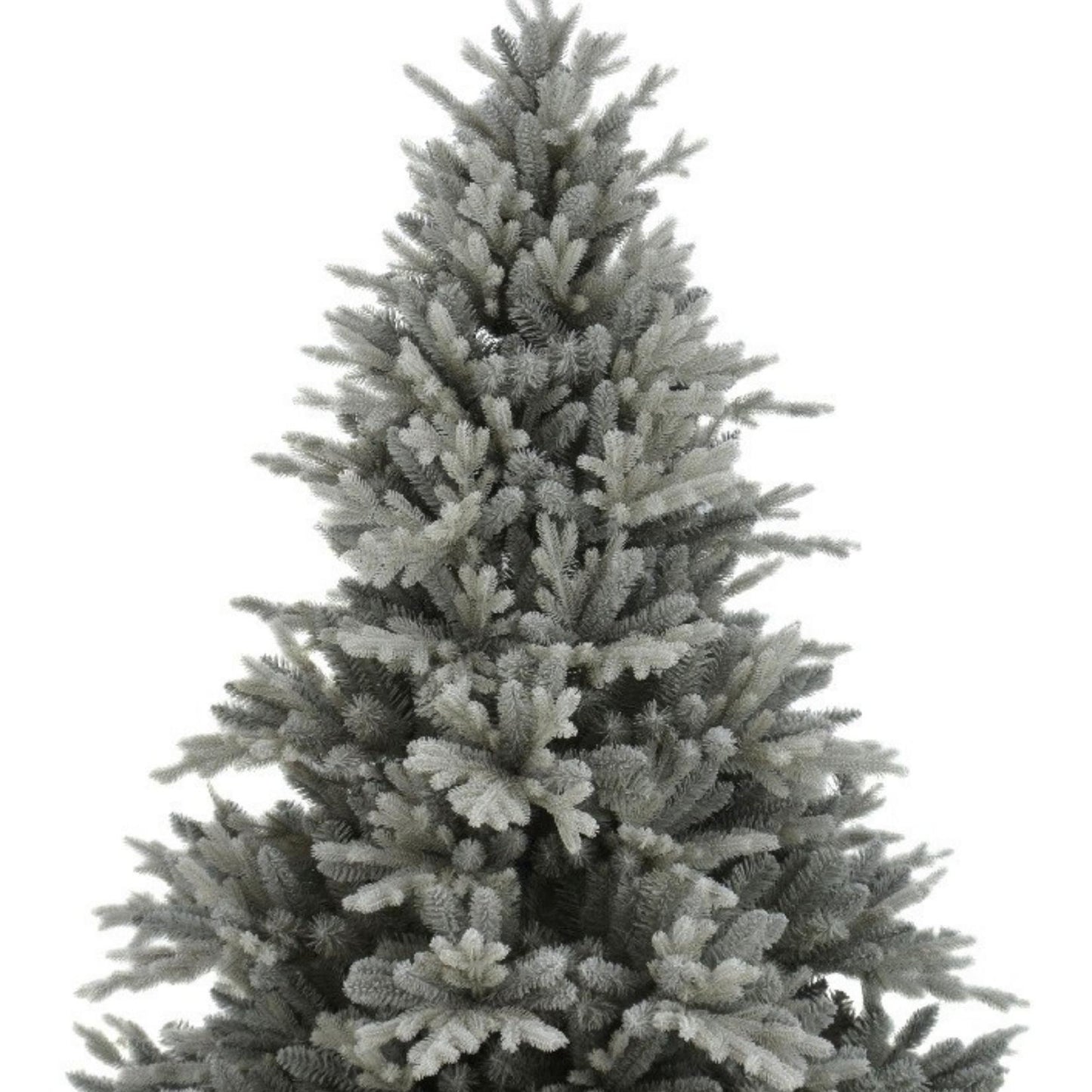 Silverdale Pine