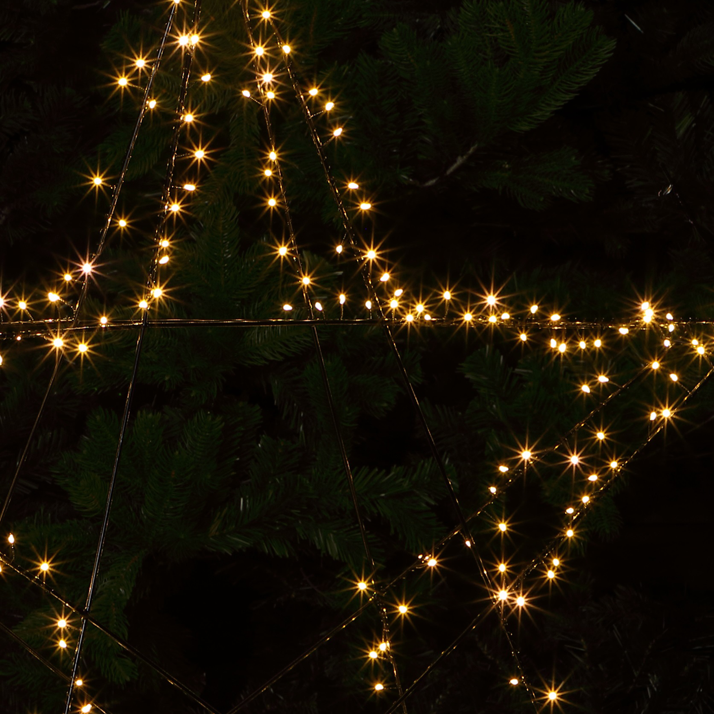 1m Warm White Folding Black Wire Star - 280 LEDs