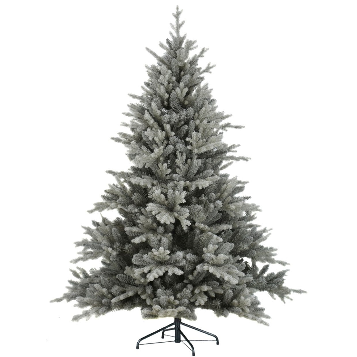 Silverdale Pine