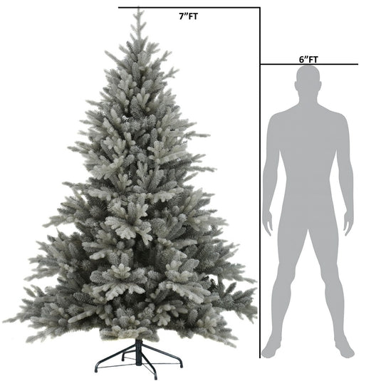6' Silverdale Pine