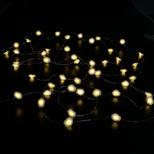 Daisy Solar Fine Wire Lights