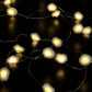 Daisy Solar Fine Wire Lights