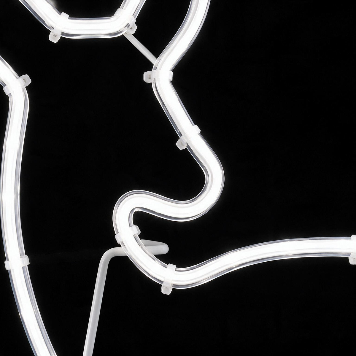 53CM 2D Neon Fawn