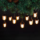 10 Antique White Flame Effect String Lights