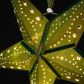 40CM Green Stardust