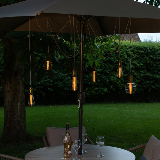 6 Battery Operated The Bulb Spider Lights