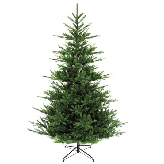 6' Norman Fir