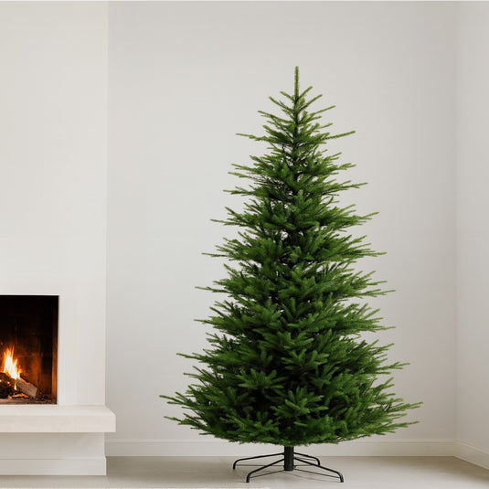 6' Norman Fir