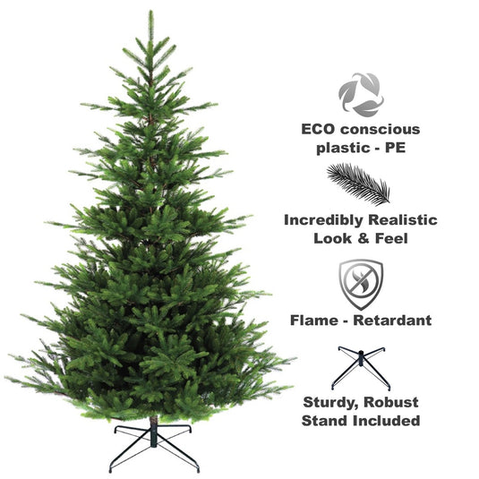 6' Norman Fir