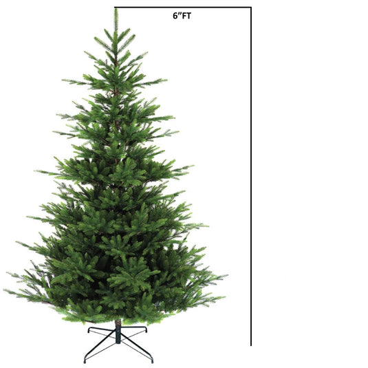 6' Norman Fir