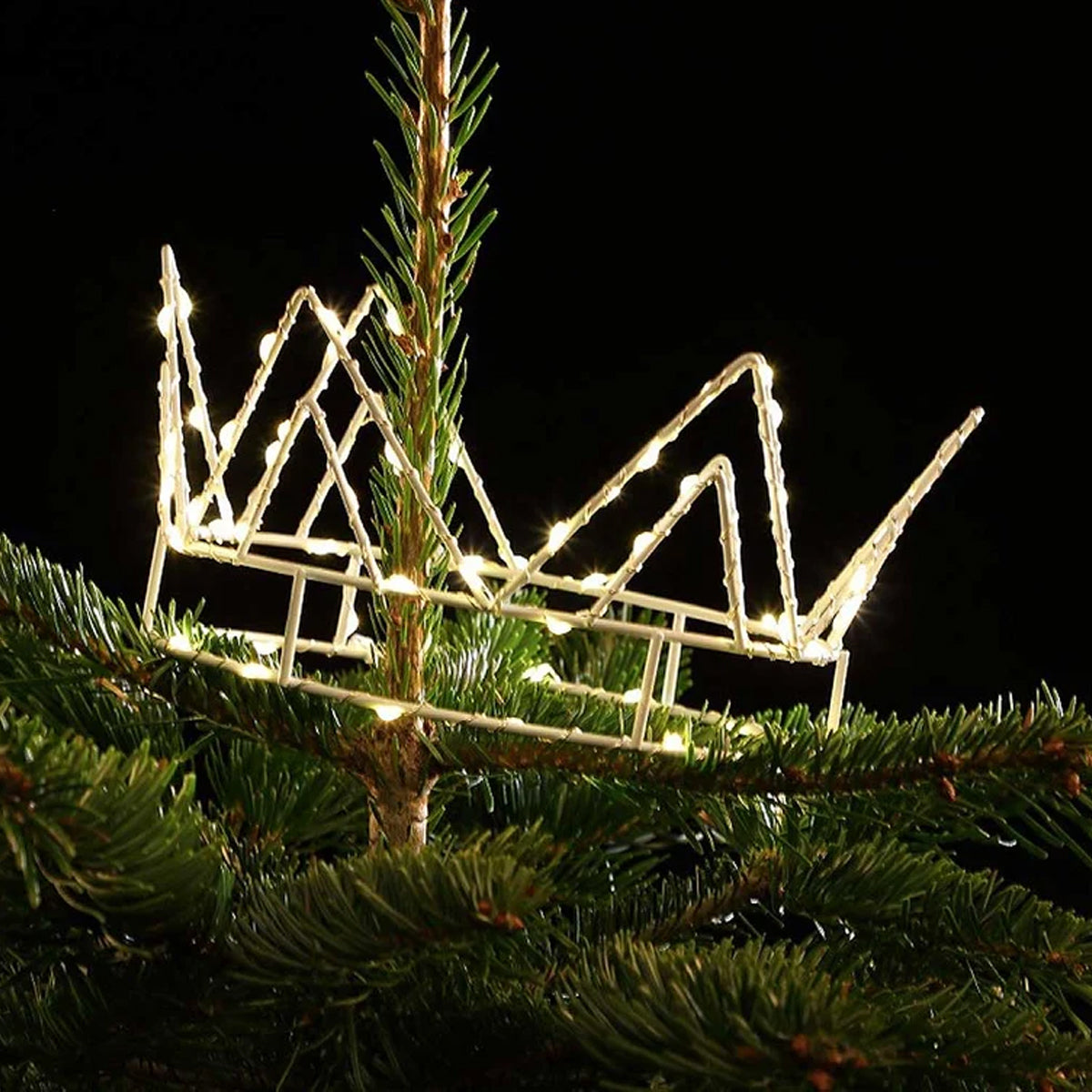 70 Warm White Kings's Crown