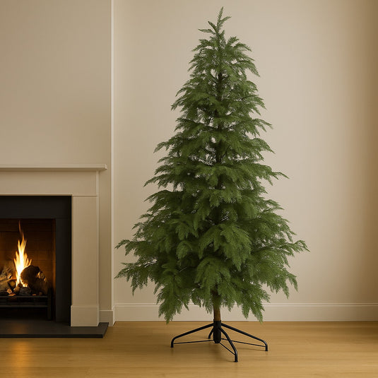7' Cypress Fir