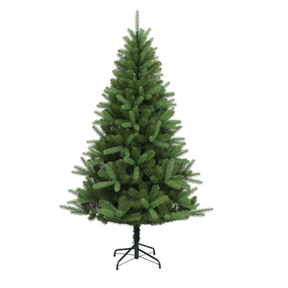 Canterbury Spruce
