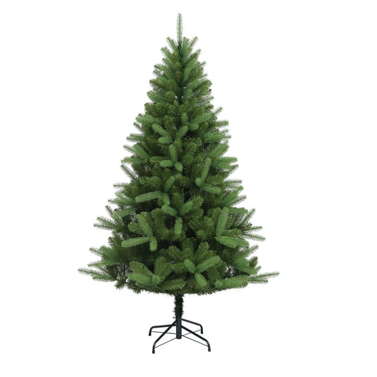 6' Canterbury Spruce