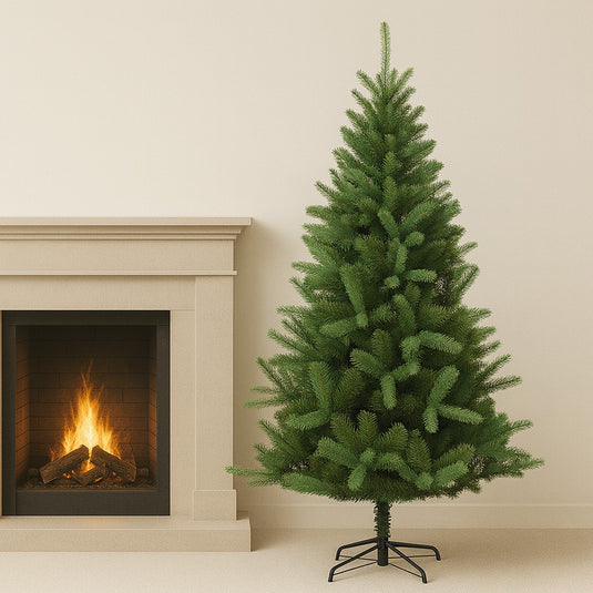 6' Canterbury Spruce