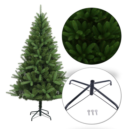 6' Canterbury Spruce