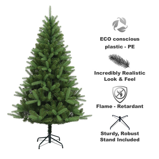 6' Canterbury Spruce