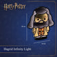 Harry Potter - Rubeus Hagrid Infinity Light