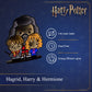 Harry Potter - Hagrid, Harry & Hermione Infinity Light