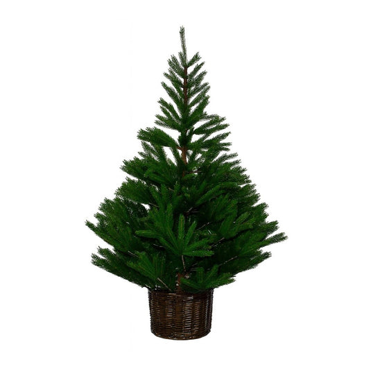 Glenside Fir Christmas Tree