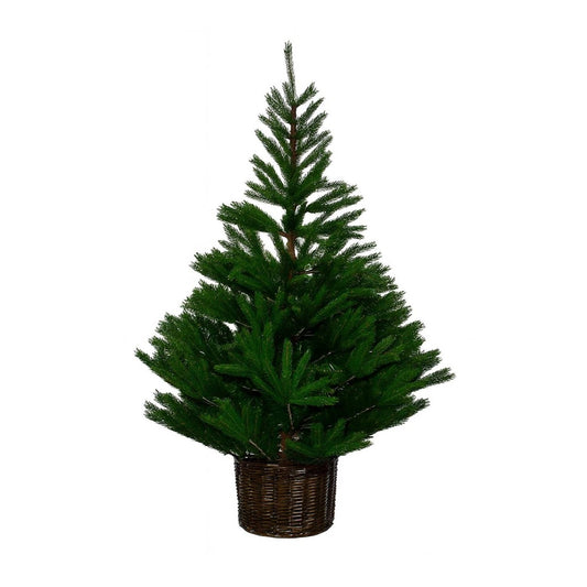 Glenside Fir Christmas Tree
