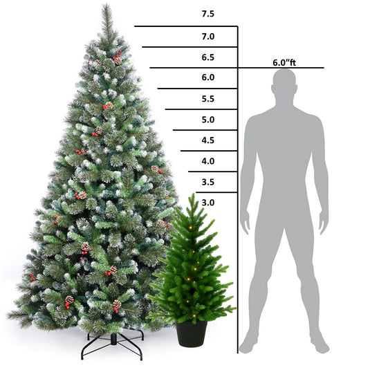 Glenside Fir Christmas Tree