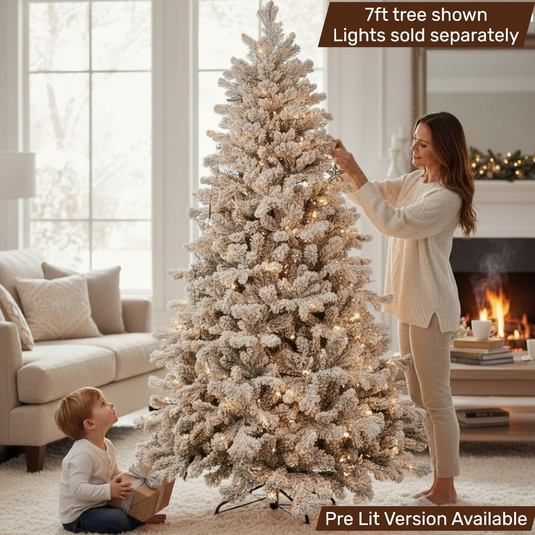 Lakeland  Snowmelt Fir