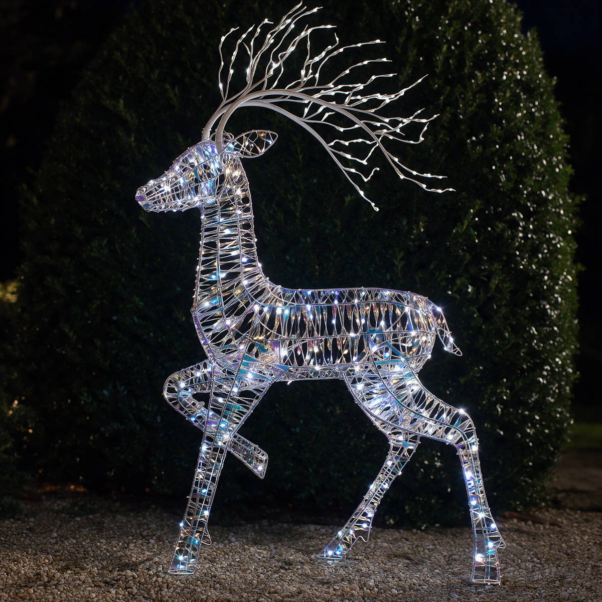 1.4M Iridescent Richmond Stag