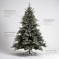 Silverdale Pine
