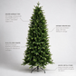 Meribel Fir Tree