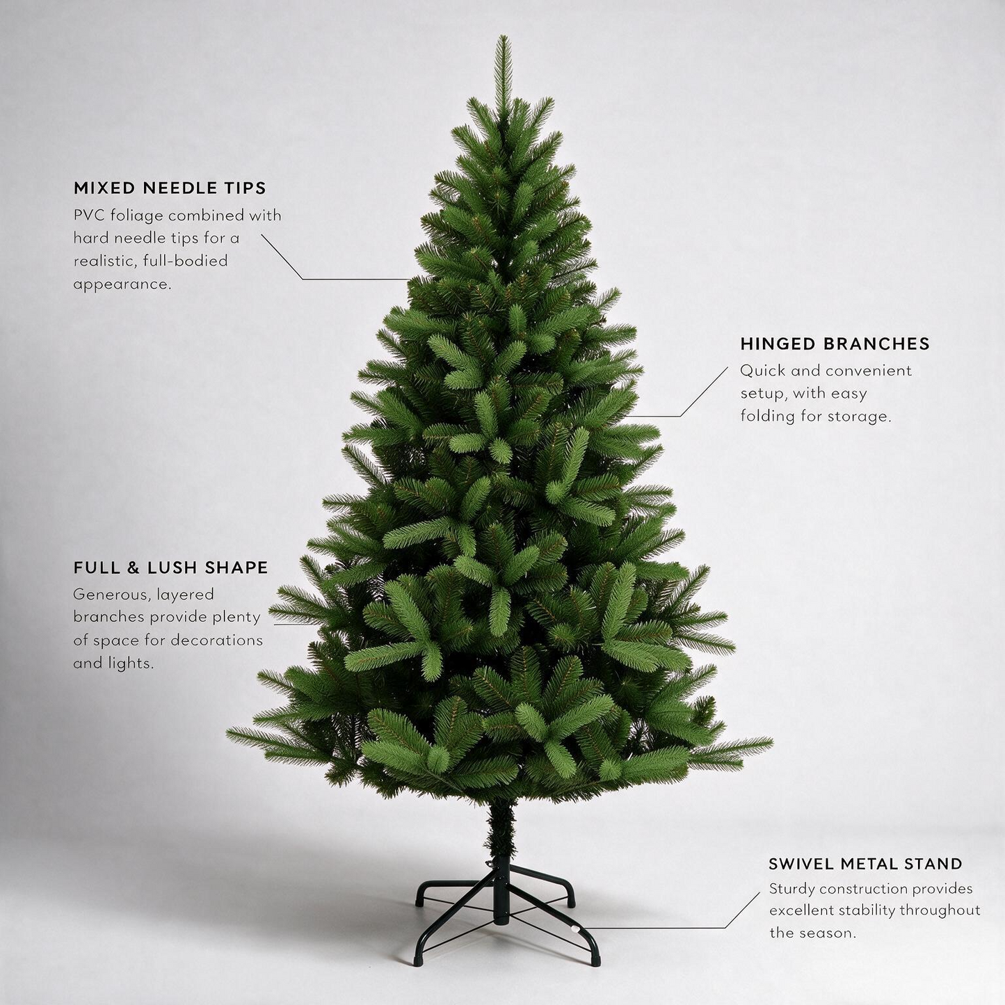 Canterbury Spruce