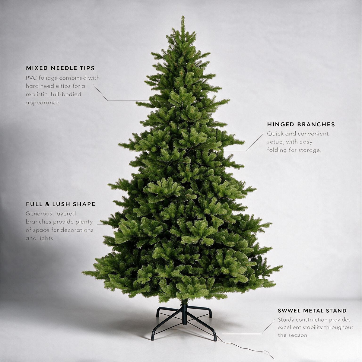 Highgrove Spruce