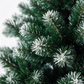Wasdale Frost Fir