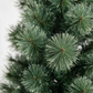 Sandringham Pine