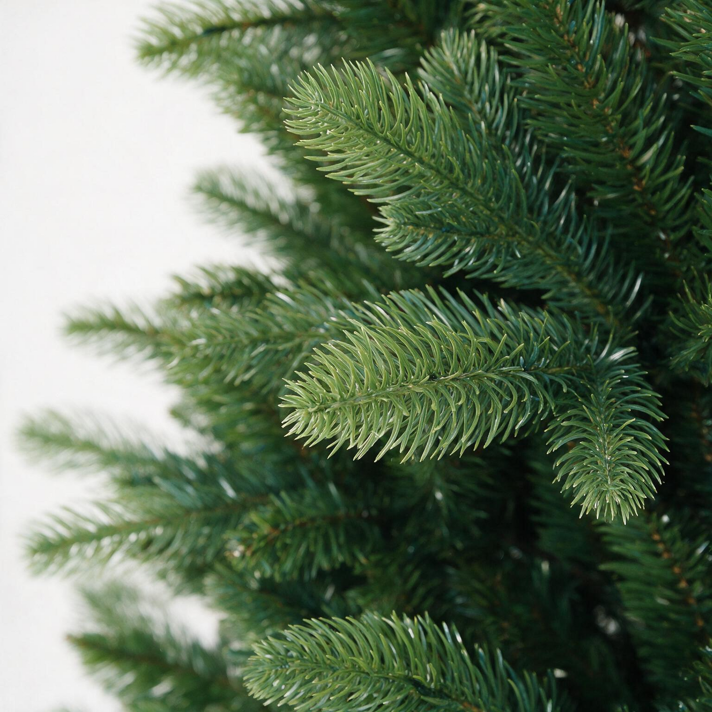 Meribel Fir Tree