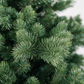 3' Highgrove Spruce Potted Tree