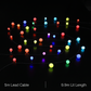 Spectrum Berry String Lights