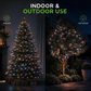 Harlequin Cluster Lights