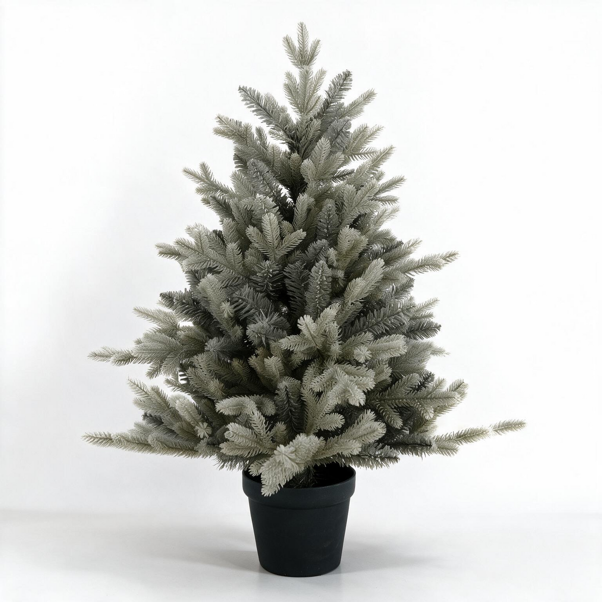 3' Silverdale Potted Tree