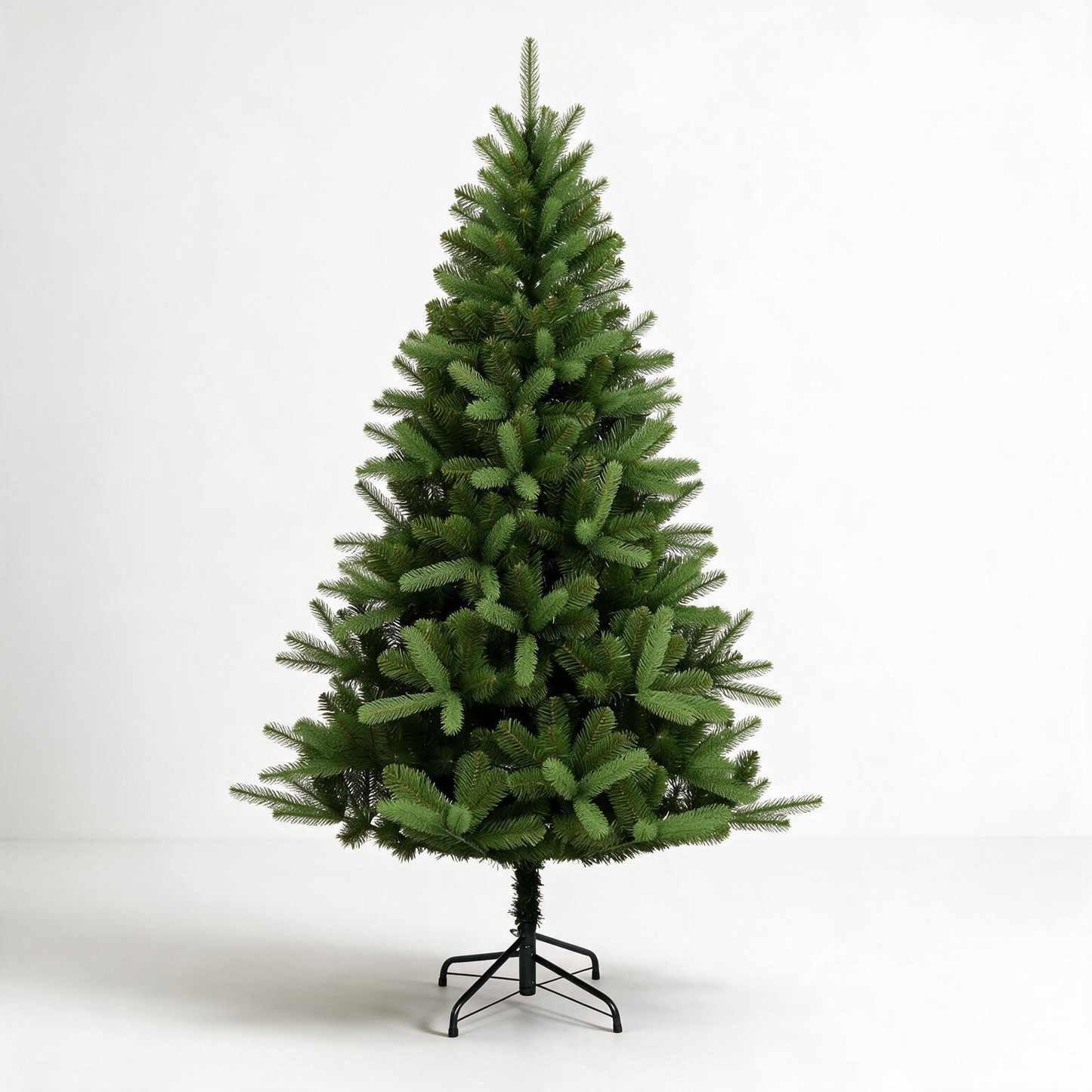 Canterbury Spruce