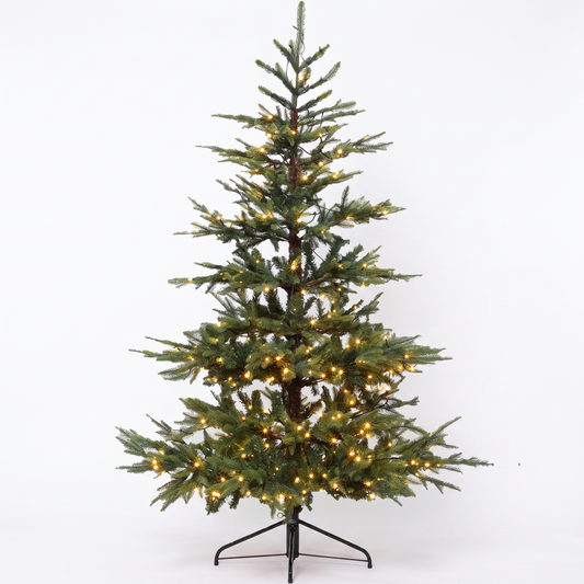 7' Nordman Fir Pre Lit 420 Warm White