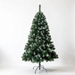 Wasdale Frost Fir