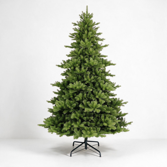 Highgrove Spruce