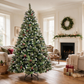 Killarney Pine