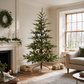 Pre-Lit Nordman Fir